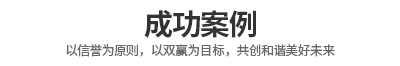 成功案例