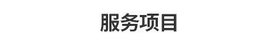 服务项目